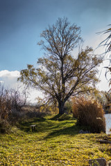 Cold spring day near a beautiful fishing lake in Sarisap, Hungary.
