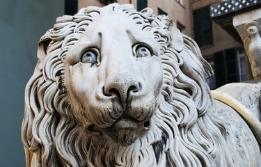  Statue of lion at the Genoa Cathedral of Saint Lawrence, Italy