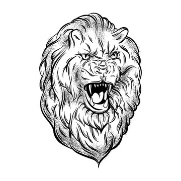 Vector illustration of realistic lion made in hand sketched style. Hand drawn artwork with portrait of growling animal . Template for card, poster, banner, print for t-shirt