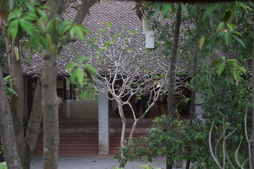 The terrace of the house under the roof in the park among tropical plants