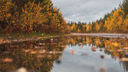 Obraz premium autumn in the park