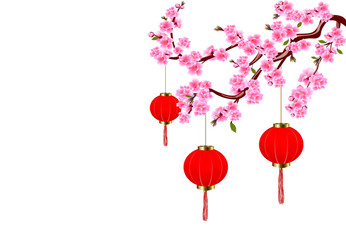 Chinese New Year. Sakura and red lights. Cherry flowers with buds and leaves on the branch. illustration
