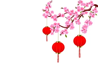 Chinesisches Neujahr. Sakura und rote Lichter. Kirschblüten mit Knospen und Blättern am Zweig. Illustration © lily_studio