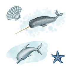 dolphin and narwhal sea unicorn. set of drawings of sea animals and mollusks on a white background © Lana