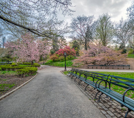 Central Park, New York City in spring