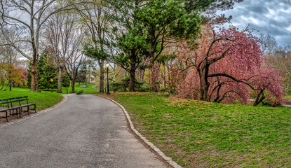 Central Park, New York City in spring