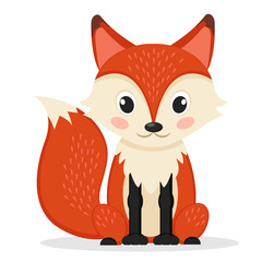 Sly Fox sitting on a white. Wild animal.