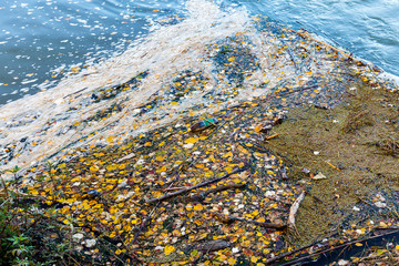 river pollution.bottle and foam garbage floating on water