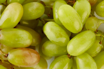 A glass of white wine with a bunch of green grapes on a white background. Alcoholic beverages.