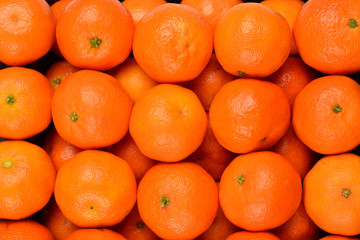 Mandarin orange background.