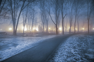 Fog in park at night by the light of street lamps