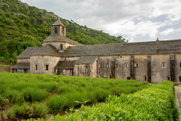 Fototapeta na wymiar Abbey de Senanque