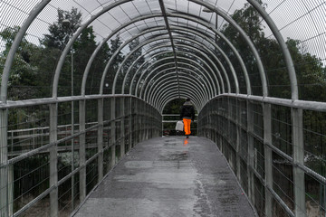 footbridge