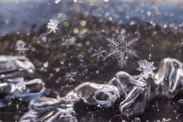 Macro of Snowflakes, frozen in the ice, natural shot
