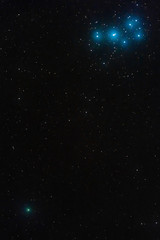 Obraz premium The Pleiades and the comet 46P/Wirtanen in the constellation Taurus photographed on December 15, 2018, from Mannheim in Germany.