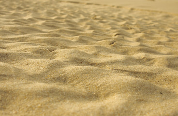 Sauberer Strand