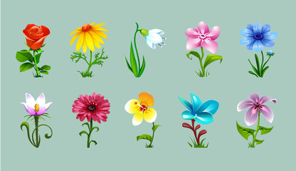 vector set of isolated flowers of different plants on a light background