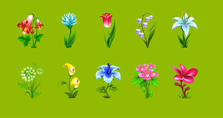 Obraz na płótnie Canvas vector set of isolated flowers of different plants on a green background