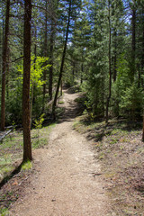 Rolling Creek Trail Autumn 2018