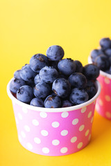 blueberry in a cheerful bright glass