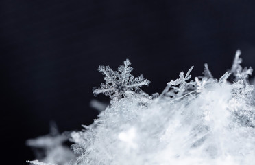 natural snowflakes on snow, winter