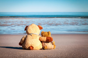 Zwei Teddybären am Strand blicken sehnsüchtig auf das Meer - obrazy, fototapety, plakaty
