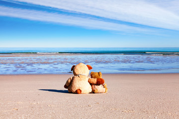 Zwei Teddybären am Strand blicken sehnsüchtig auf das Meer