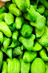 Pepino