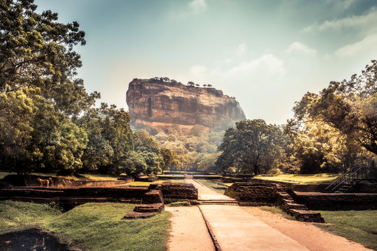 Sigiriya Lion rock mountain unesco landmark Sri Lanka