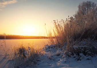 Beautiful winter landscape. The branches of the trees are covered with hoarfrost. Foggy morning sunrise. Colorful evening, bright sunshine over a river or lake.