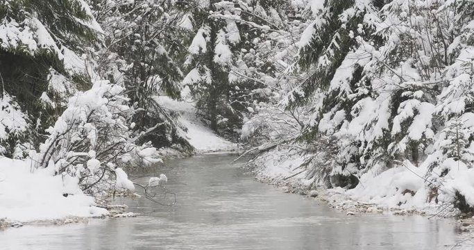 Bach in verschneiter Waldlandschaft Tele 4k DCI 50p