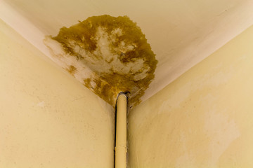 Peeling paint on the ceiling. Rusty water leaking pipe. Repair is required.