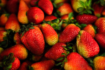 Fresas 1