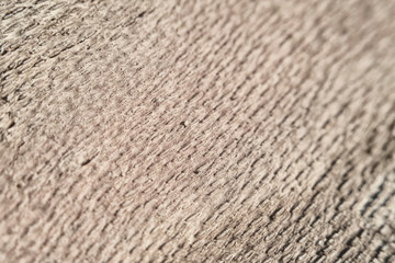 Porous texture of inner side of wood bark
