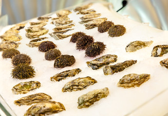 Sea urchins and oysters lie on the ice in the shop window
