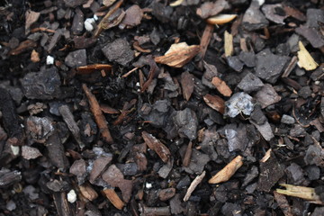 Dirt Texture