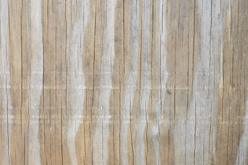 Wood Texture