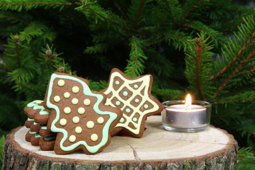 Kolorowe pierniki - choinka i gwiazda ze świeczką tealight na tle świerku © Cezzar