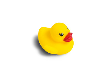 Yellow toy duck for a bath on a white background