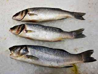 A lot of fresh raw fish on store shelve with ice