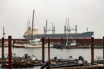 marina with cargo ship and boats and large sealions laying on docks