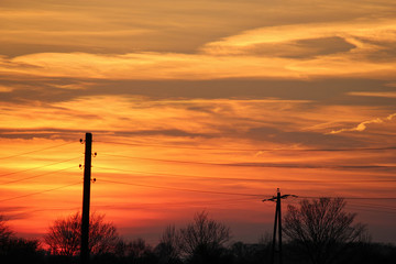 Naklejka premium silhouette of power lines and trees in front of dramatic red sky