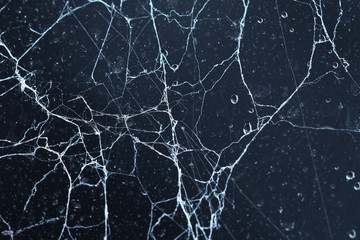 bright spiderwebs and water drops forming a unique pattern