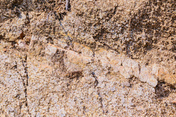texture of the natural stone background outdoors, pattern