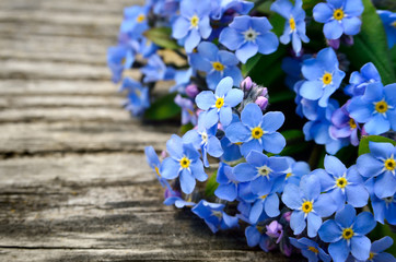 Naklejka na ściany i meble Bouquet of blue forget-me on a wooden background
