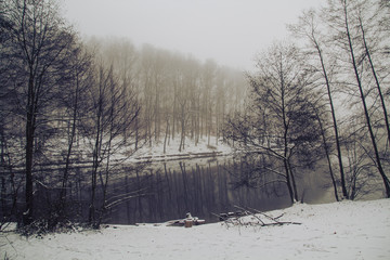 Saarland im Winter - Verschneite Landschaft um Weiher / Teich