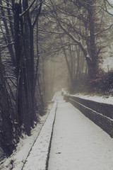 Saarland im Winter - Langer Gehweg