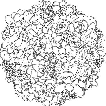 Seamless floral doodle background pattern in vector. Coloring book page for adult and kids. Round zentangle patterns.