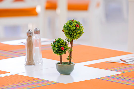 Small trees on the table 2