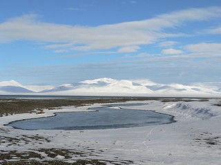 Arctic nature